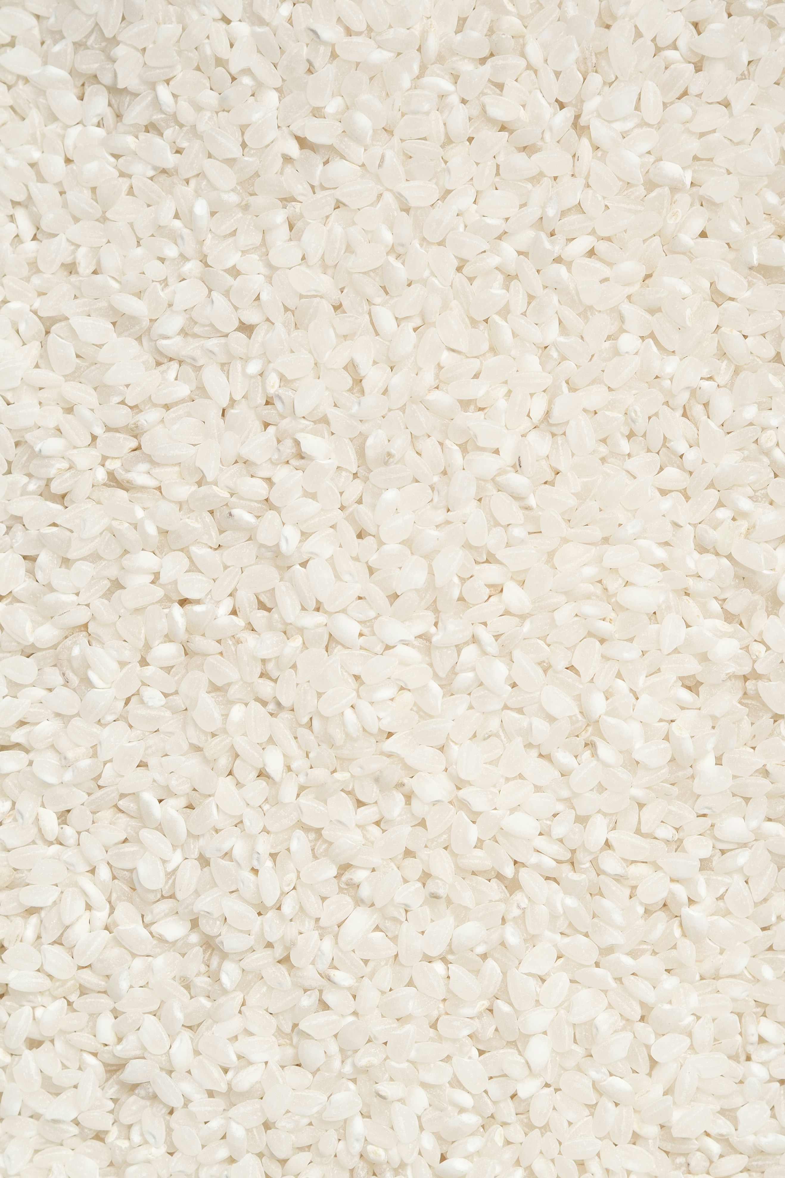 Non Basmati Rice 